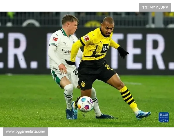 多特蒙德加强安保与警方合作 德甲球迷关系逐步改善